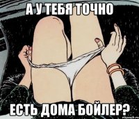 А у тебя точно есть дома бойлер?