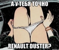 а у тебя точно renault duster?