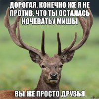 Дорогая, конечно же я не против, что ты осталась ночеватьу Мишы Вы же просто друзья