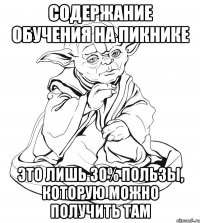 содержание обучения на пикнике это лишь 30% пользы, которую можно получить там