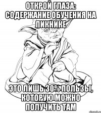 открой глаза: содержание обучения на пикнике это лишь 30% пользы, которую можно получить там