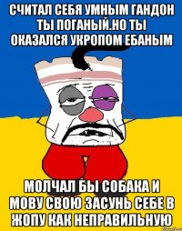 Считал себя умным гандон ты поганый.но ты оказался укропом ебаным Молчал бы собака и мову свою засунь себе в жопу как неправильную