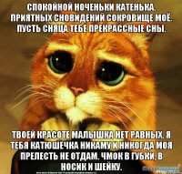 спокойной ноченьки катенька. приятных сновидений сокровище моë. пусть сняца тебе прекрассные сны. твоей красоте малышка нет равных. я тебя катюшечка никаму и никогда моя прелесть не отдам. чмок в губки, в носик и шейку.