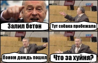 Залил бетон Тут собака пробежала Поиом дождь пошел Что за хуйня?