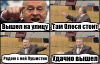 Вышел на улицу Там Олеся стоит Рядом с ней Пушистик Удачно вышел