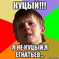 Куцый!!! Я не Куцый,я Егнатьев...