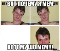 вот почему я мем потому шо мем!!!