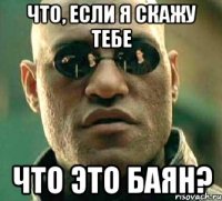 Что, если я скажу тебе Что это баян?