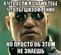 а что если я скажу тебе что ты шизофреник но просто об этом не знаешь