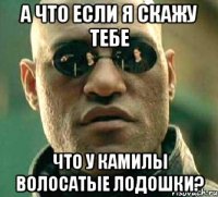 А что если я скажу тебе что у Камилы волосатые лодошки?