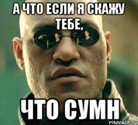 А что если я скажу тебе, что СУМН