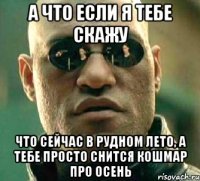 а что если я тебе скажу что сейчас в рудном лето, а тебе просто снится кошмар про осень