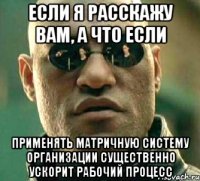 Если я расскажу вам, а что если применять матричную систему организации существенно ускорит рабочий процесс