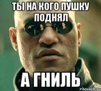 ты на кого пушку поднял а гниль