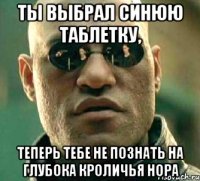 ты выбрал синюю таблетку, теперь тебе не познать на глубока кроличья нора