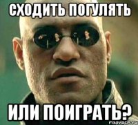 сходить погулять или поиграть?