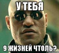 у тебя 9 жизней чтоль?