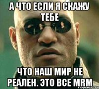 А что если я скажу тебе что наш мир не реален. Это все MRM