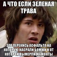 а что если зеленая трава это перекись асфальта на которую насрали бомжи и от которой вымерли мамонты