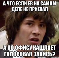 А что если ЕВ на самом деле не приехал А по офису кашляет голосовая запись?