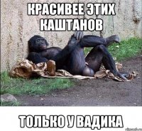 Красивее этих каштанов Только у ВАДИКА