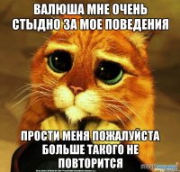 Валюша мне очень стыдно за мое поведения прости меня пожалуйста больше такого не повторится