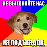 Не выгоняйте нас из подъездов.