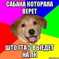 Сабака котораяа верет Што гта 5 выедет на пк