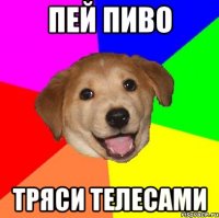 ПЕЙ ПИВО ТРЯСИ ТЕЛЕСАМИ