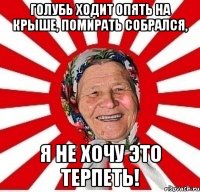 Голубь ходит опять на крыше, помирать собрался, Я не хочу это терпеть!