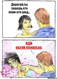 Дорогой,ты знаешь,что пони-это шед... Иди нахуй,пониебка