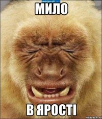 Мило В ярості