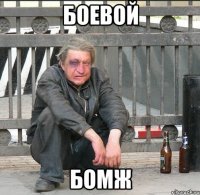 Боевой Бомж