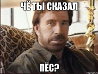 Чё ты сказал пёс?