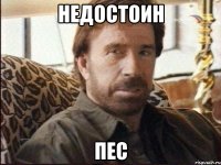 недостоин пес