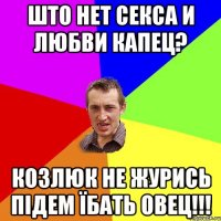 ШТО НЕТ СЕКСА И ЛЮБВИ КАПЕЦ? КОЗЛЮК НЕ ЖУРИСЬ ПІДЕМ ЇБАТЬ ОВЕЦ!!!