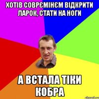 хотів соврємінєм відкрити ларок, стати на ноги а встала тіки кобра