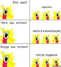 крисята жить в каналізацие после падвала