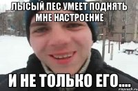 Лысый пес умеет поднять мне настроение и не только его....