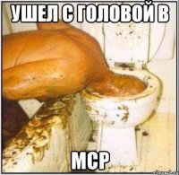 ушел с головой в МСР