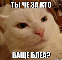 Ты че за кто Ваще блеа?