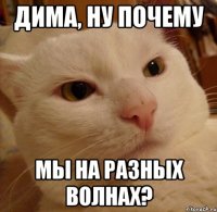 Дима, ну почему мы на разных волнах?