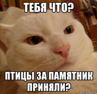 Тебя что? Птицы за памятник приняли?