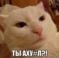  Ты аху#л?!