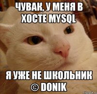 Чувак, у меня в хосте MySQL Я уже не школьник © Donik
