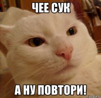 Чее сук А ну повтори!