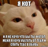 Я кот И я не хочу что бы ты фотол меня я хочу убегать от тебя и спать тебе в обувь