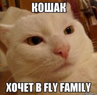 Кошак хочет в Fly Family