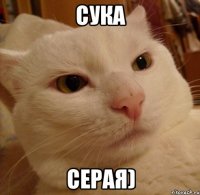 Сука серая)