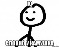 IQ словно у камушка